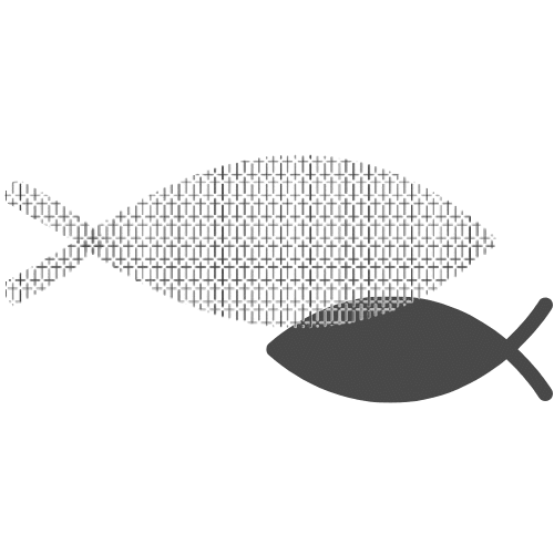 Fish Shape Design